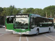 In autobus da Treviso verso Cortina dal 6 al 22 febbraio per le Olimpiadi