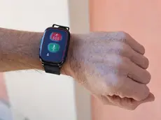 Il dispositivo di sicurezza in dotazione