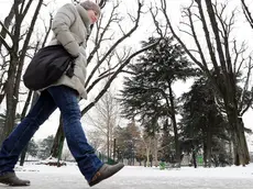 Temperature polari anche in Veneto