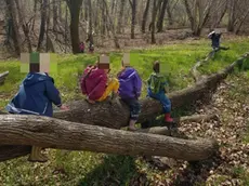 La scuola nel bosco di Monfumo chiusa dai carabinieri