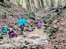 Scuola nel bosco chiusa a Monfumo: ecco cosa succede adesso ai bambini