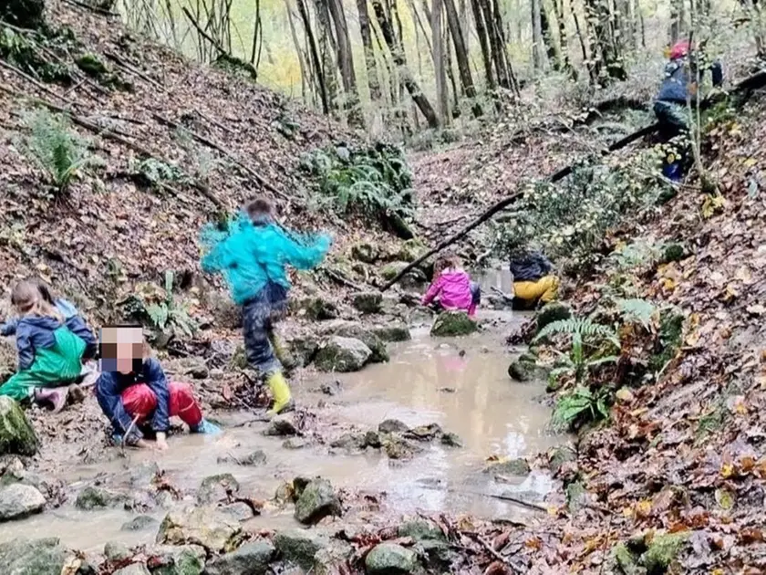 Scuola nel bosco chiusa a Monfumo: ecco cosa succede adesso ai bambini