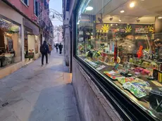 Donna sviene a Venezia dopo una scorpacciata di biscotti alla cannabis