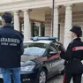 Il bilancio dei controlli dei carabinieri del Nil in provincia di Treviso