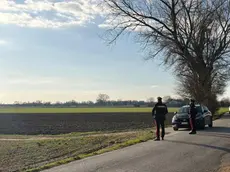 Carabinieri nel campo dov’è stato rinvenuto il corpo di Sergiu Tarna nel Veneziano