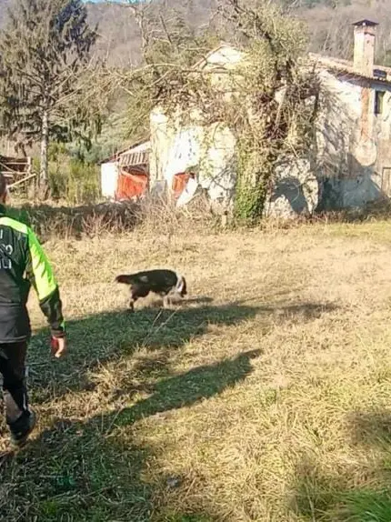 Molti dubbi sulla fine di Annabella: ecco cosa pensano gli investigatori