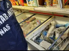 Un controllo dei Nas in una foto d'archivio