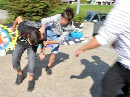 Baby bulli aggrediscono un coetaneo