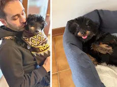 Davide Mostarda con in braccio il cagnolino Pepe