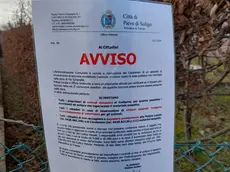 L'avviso del Comune