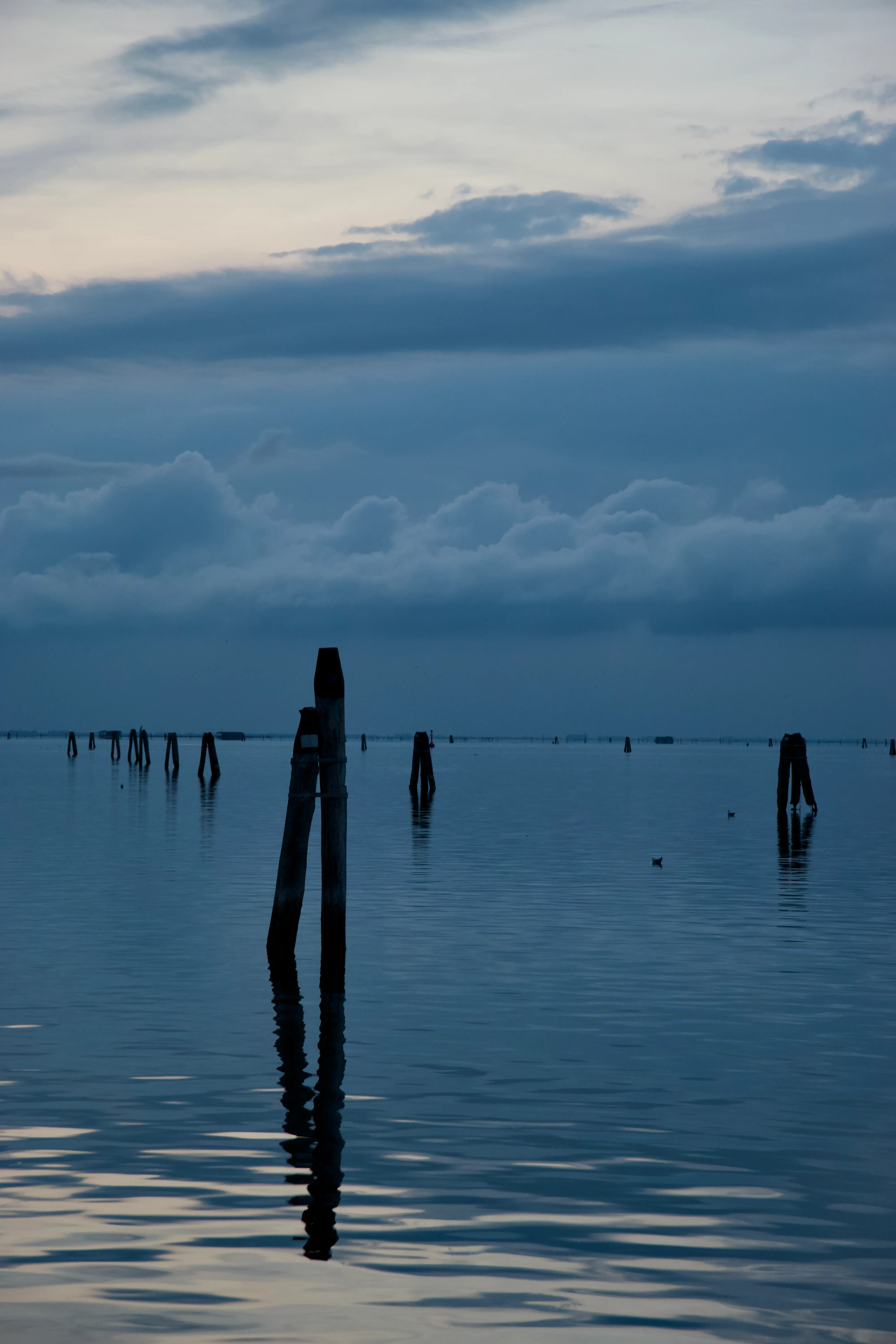 Elena Ercolin, Al crepuscolo a Chioggia, alla fine dell'estate.