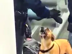 Un passeggero ha filmato l’episodio