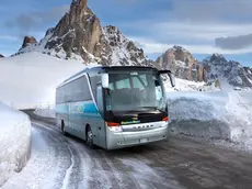 Dolomitibus