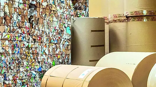 Carta da macero e bobine di carta dell'azienda Pro. Gest