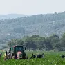 Operai al lavoro in un terreno agricolo