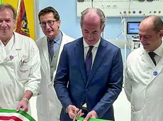 Da sinistra, il prof Gerosa, il prof Rea, l’ex presidente della Regione Luca Zaia e il prof Grego