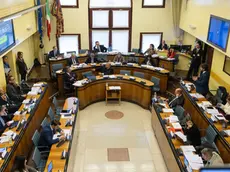 Il Consiglio regionale del Veneto