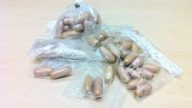 Droga in capsule (Immagine d'archivio)