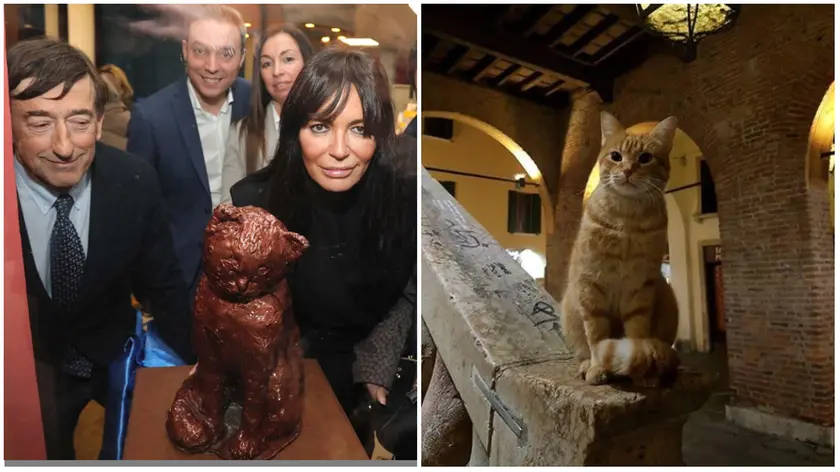 La statua di Rossini in municipio a Rovigo e il micio Rossini