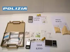 La droga sequestrata al veterinario