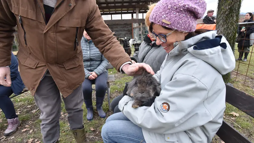 Uno degli animali della fattoria di Borgo Casoni a Susegana