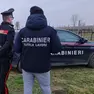 Controlli dei carabinieri in un vigneto