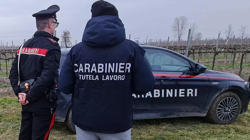 Controlli dei carabinieri in un vigneto