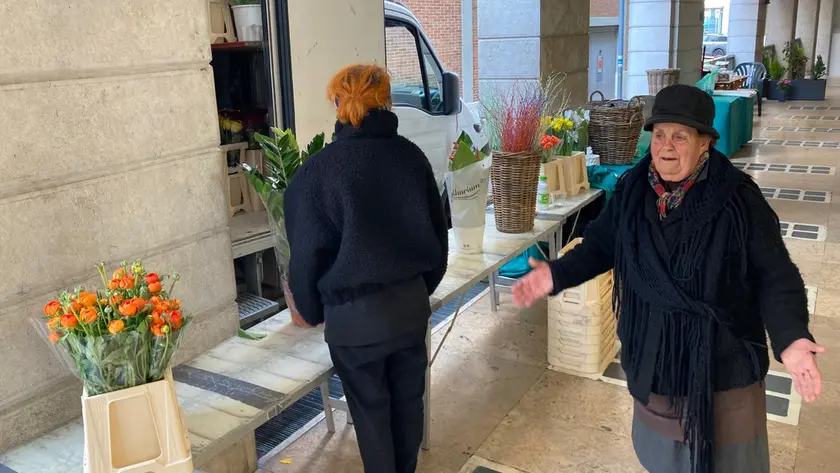 Le fioraie di via Zorzetto a Treviso