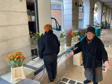 Le fioraie di via Zorzetto a Treviso