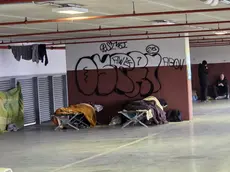 Le brandine comparse al Park Dal Negro a Treviso