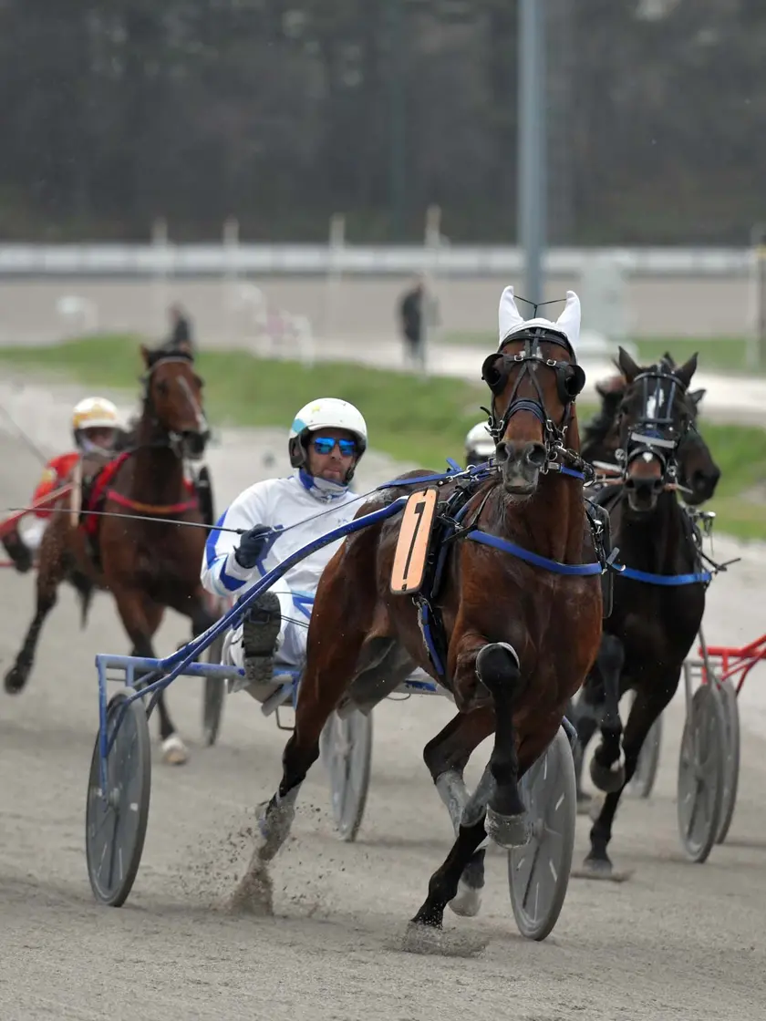 Il Memorial Jegher del 2025, l’ultimo all’ippodromo di Montebello, vinto da Fiamma Foto Bruni