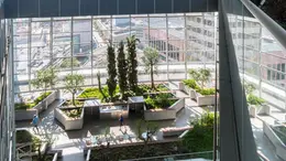 Lo Sky Garden all’interno del grattacielo Commerzbank, a Francoforte