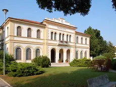 L'asta al municipio di Salgareda