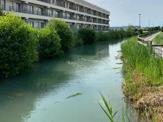 Il punto in cui è avvenuto il salvataggio