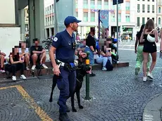 Luke impegnato in un controllo cittadino la scorsa estate