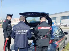 Sopralluogo dei carabinieri del Nil in un'azienda: 5 attività sospese nel Trevigiano e maxi multa