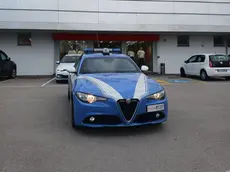 Una volante della polizia, domenica notte l'arresto in viale della Repubblica a Treviso