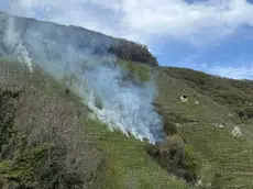 Le fiamme tra i vigneti delle colline Unesco