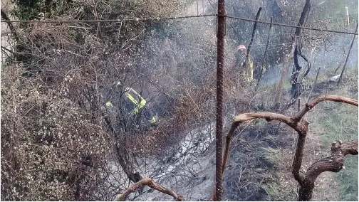 I pompieri all’opera sulle colline dove si è verificato l’incendio