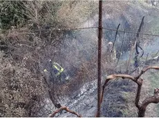 I pompieri all’opera sulle colline dove si è verificato l’incendio