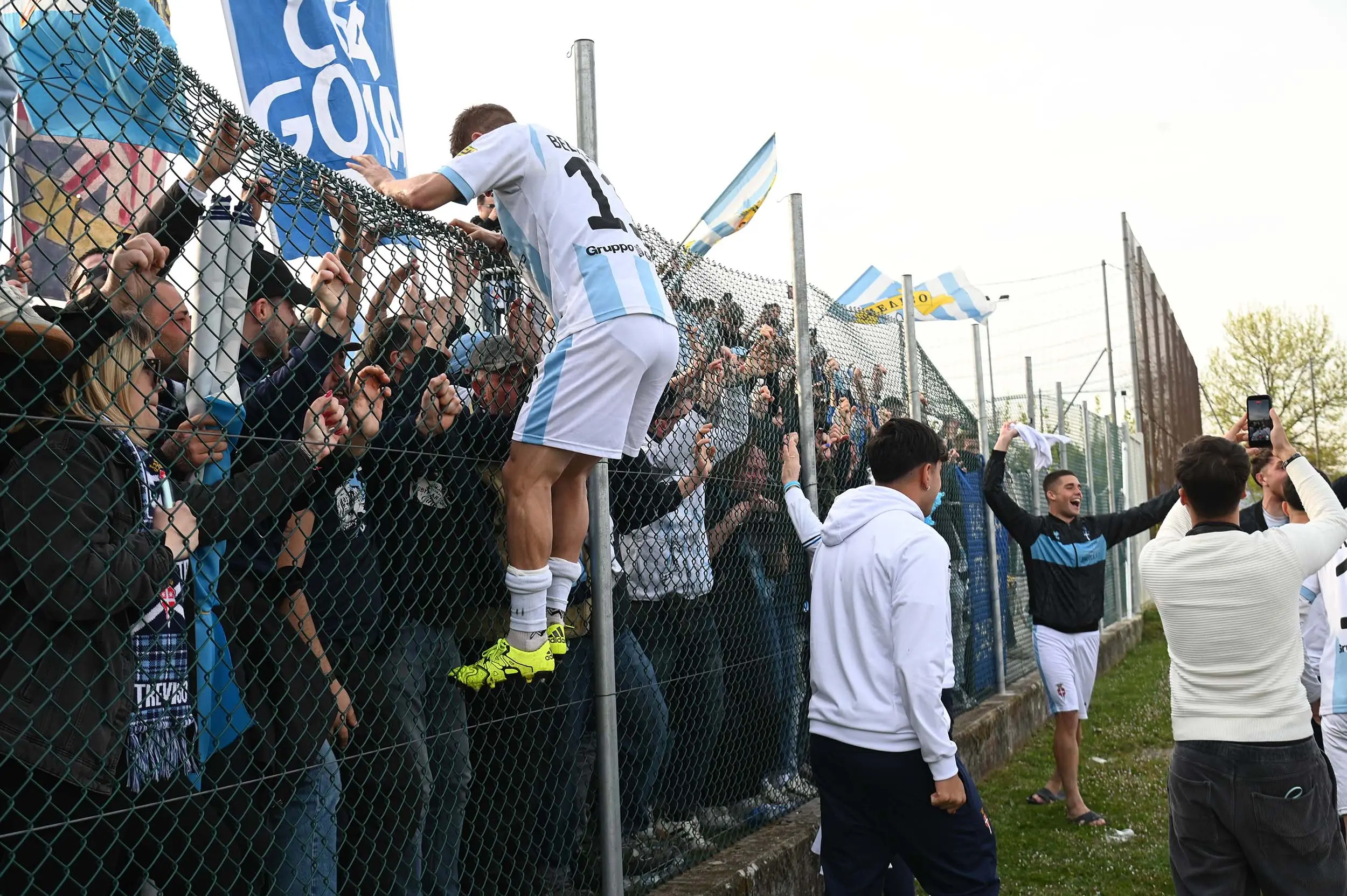 anselmi foto er altavilla vicentina trevo