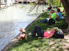 Pasqua in riva al Sile? Ecco le proposte per il weekend