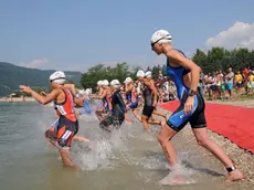 Triathlon sul lago di Santa Croce: quest'anno non si farà