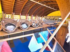 PalaLoria vandalizzato