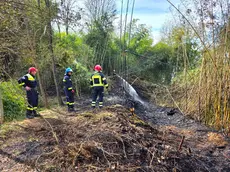 L'intervento dei vigili del fuoco a Pederobba (foto Macca)