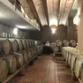 Il settore del vino sta vivendo un momento difficile a Nordest