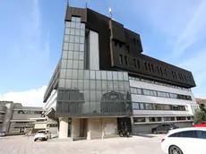 Il tribunale di Treviso dove la donna è stata condannata per l'aggressione all'anziano