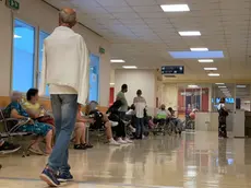 Il Pronto soccorso di Treviso