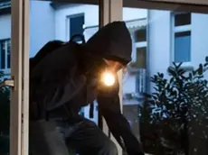 Una banda di professionisti quella che agiva tra Friuli e Veneto