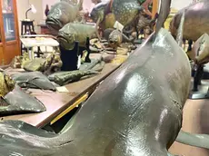 Nel 2014 l’ultima esposizione parziale, allestita in altri ambienti, poi il buio